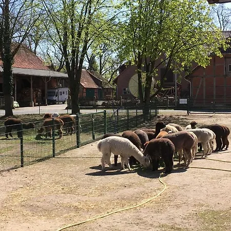Ferienwohnung Bungenhof Alpacas Celle Extérieur photo