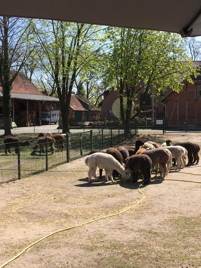 Bungenhof Alpacas * Celle